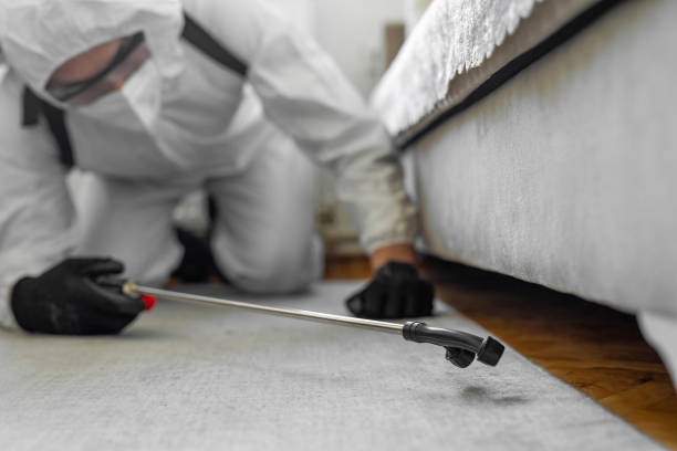 Professional Cockroach Control technician working in Mansfield, TX