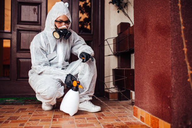 Reliable Cockroach Control contractor in Mansfield, TX by Nex Pest Control